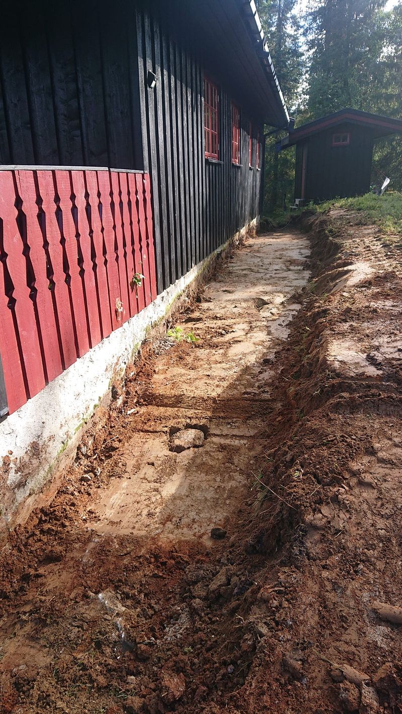 Oppretting av hytte høsten 2020